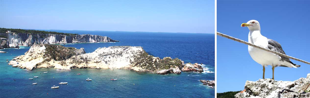 Tremiti Islands