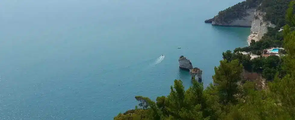baia zagare