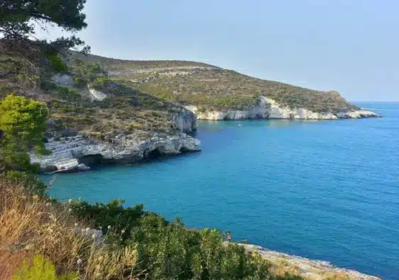 gargano
