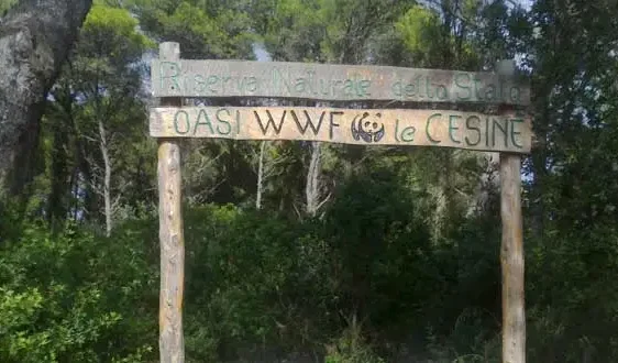 Le_Cesine._Riserva_naturale_wwf