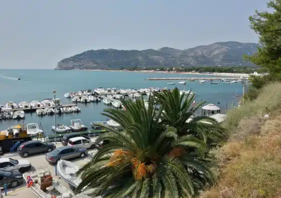 mattinata